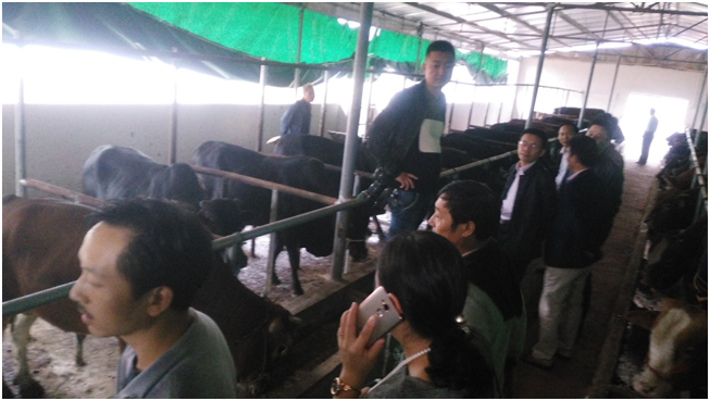 ��ʱ��ҳ��(�й���)�ٷ���վ