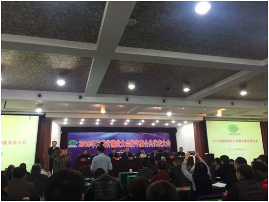 ��ʱ��ҳ��(�й���)�ٷ���վ