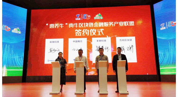 ��ʱ��ҳ��(�й���)�ٷ���վ