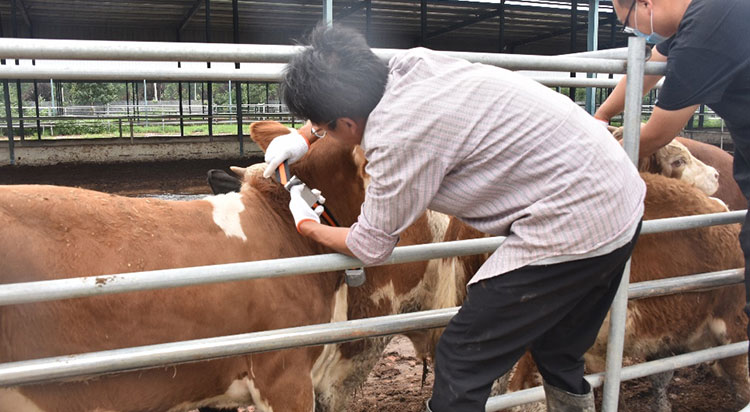 ��ʱ��ҳ��(�й���)�ٷ���վ