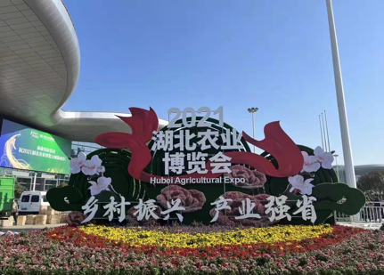 ��ʱ��ҳ��(�й���)�ٷ���վ