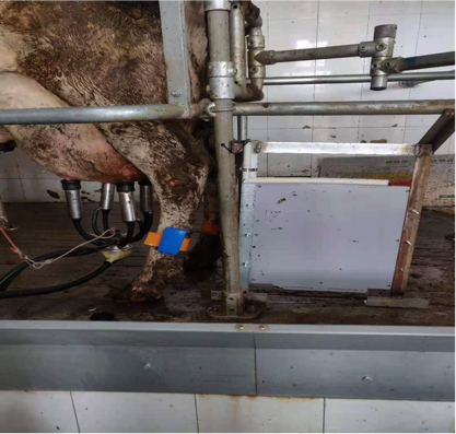 ��ʱ��ҳ��(�й���)�ٷ���վ