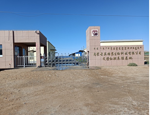 ��ʱ��ҳ��(�й���)�ٷ���վ