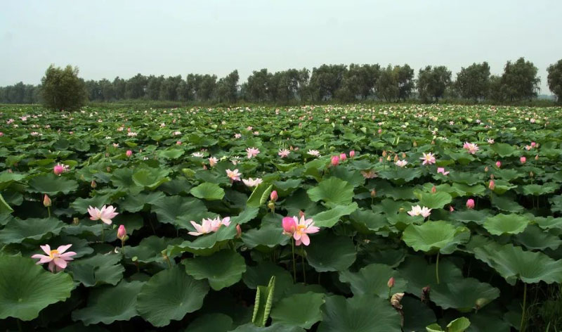 ��ʱ��ҳ��(�й���)�ٷ���վ