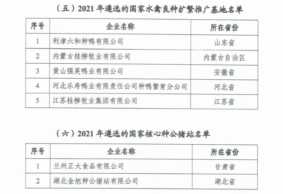 ��ʱ��ҳ��(�й���)�ٷ���վ