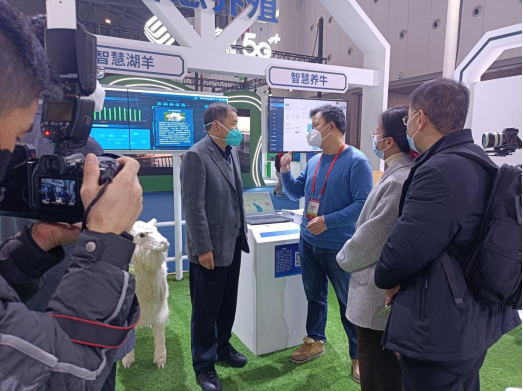 ��ʱ��ҳ��(�й���)�ٷ���վ