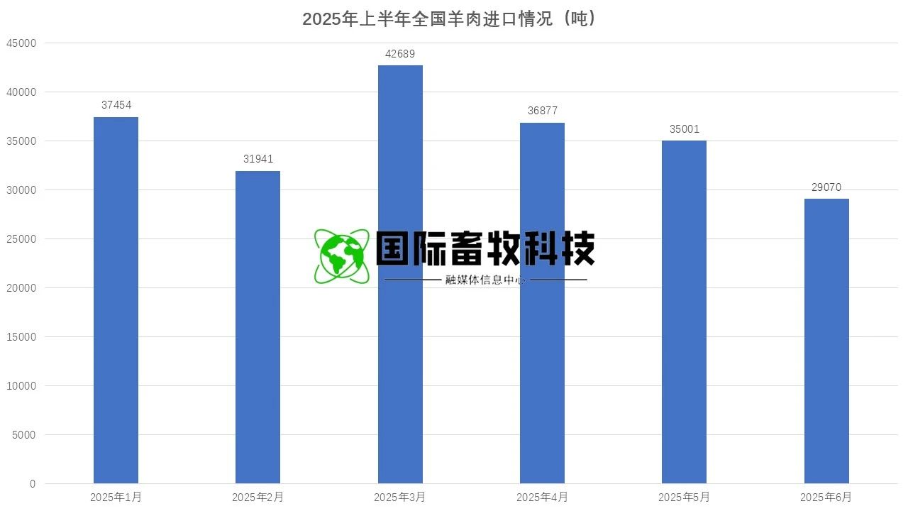 ��ʱ��ҳ��(�й���)�ٷ���վ